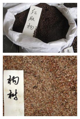 【贛州市日本紅楓種子價格】價格,廠家,其他種子、種苗-搜了網